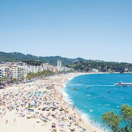 Lloret Centre *