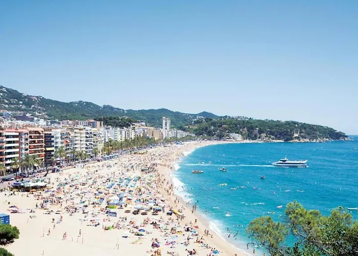 Lloret Centre *